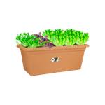 green basics jardin xxl 100cm terre cuite doux